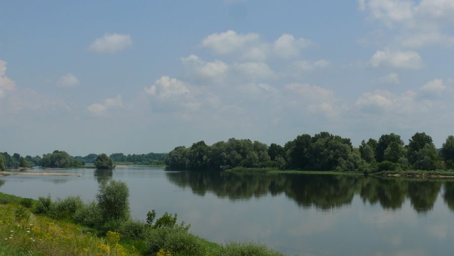 The River Loire on the way to Mer
